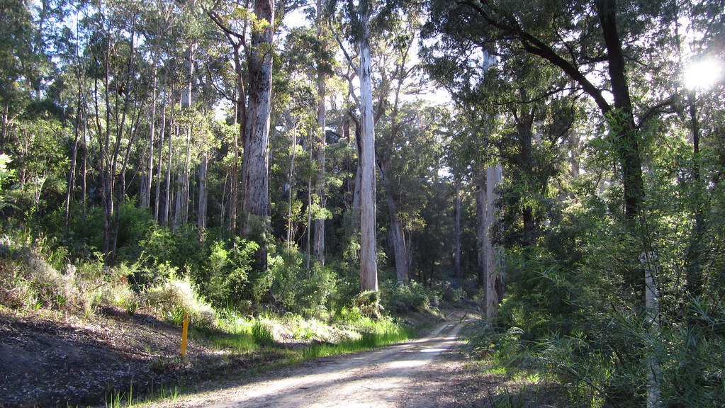 The Bibbulmun Track – Walpole to Denmark