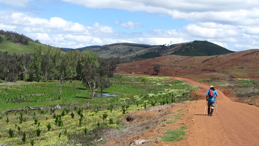 The Bibbulmun Track – Balingup to Pemberton