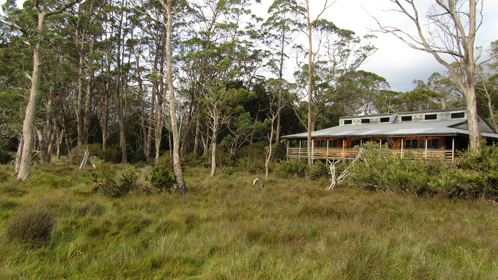 Overland Track Day 3 – Windermere to New Pelion
